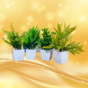 Buraq Multicolor Flower Pots for Home Decor